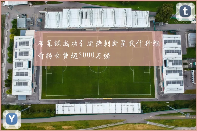布莱顿成功引进热刺新星武什科维奇转会费超5000万镑